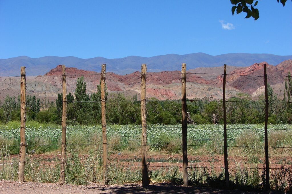 Barreal_-_San_Juan_-_Argentina_-_11471444503